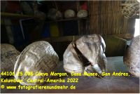 44106 25 008 Cueva Morgan, Casa Museo, San Andres, Kolumbien, Central-Amerika 2022.jpg